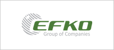Логотип Efco