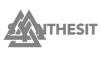Логотип Synthesit