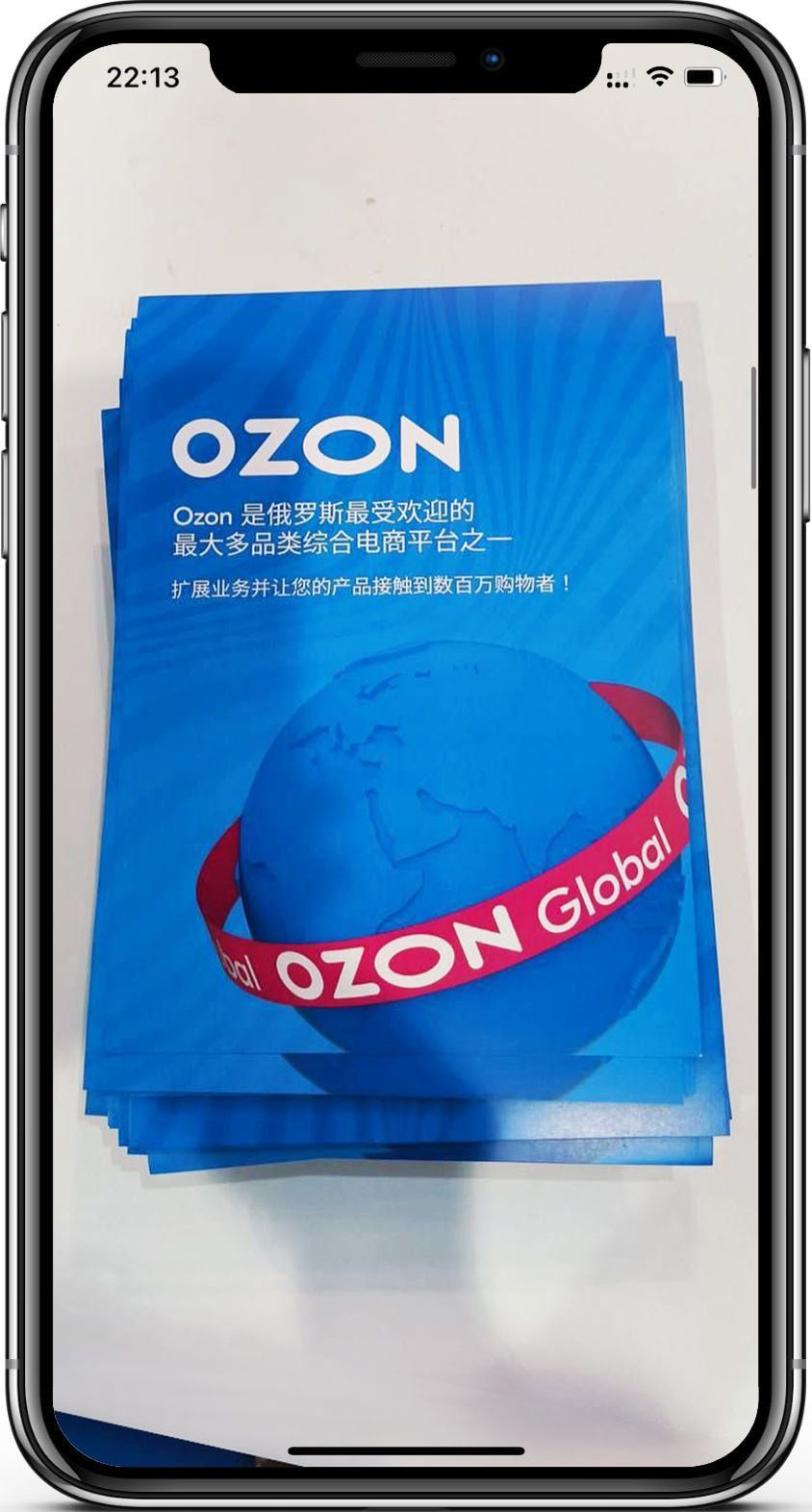 Кейс as-pacific.com Ozon - 6